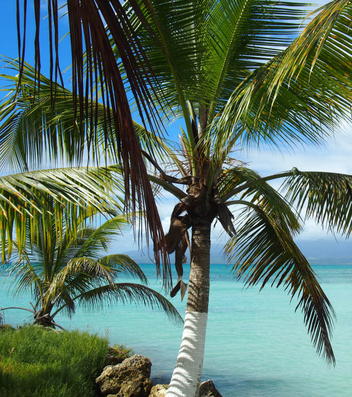 Opdagelse Sport & Kultur Les Saintes 11 dage