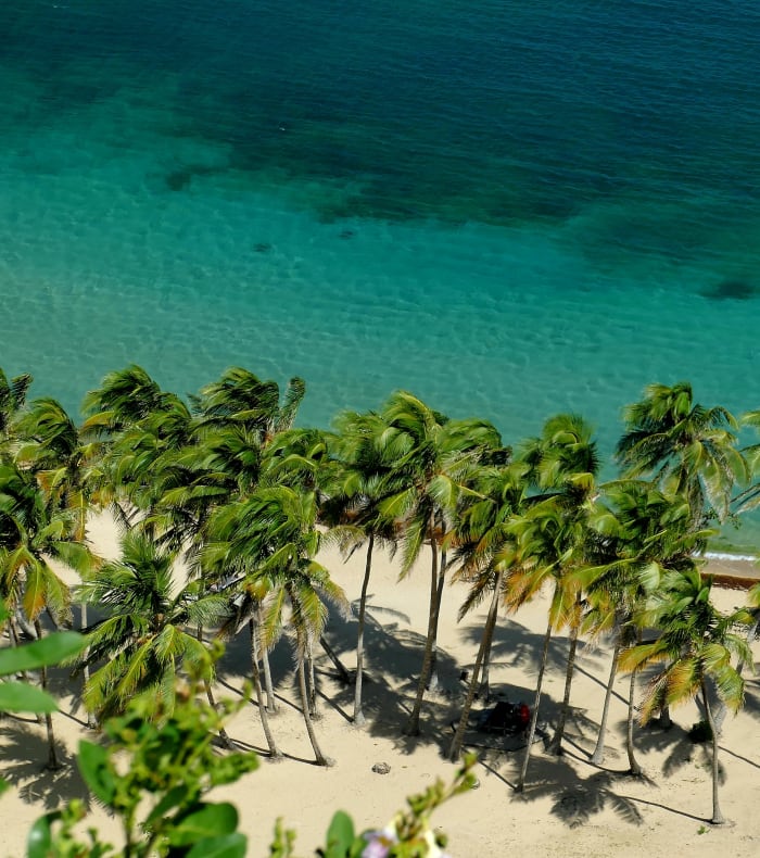 Découverte Sport & Culture Les Saintes 8 jours