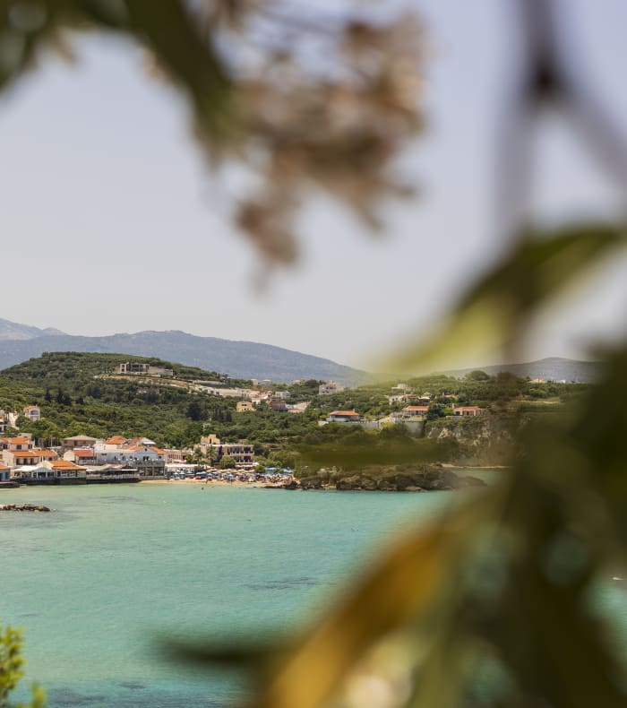 Opdag sport og kultur