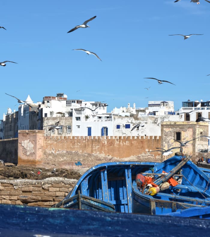 Sport & Kultur Opdagelse