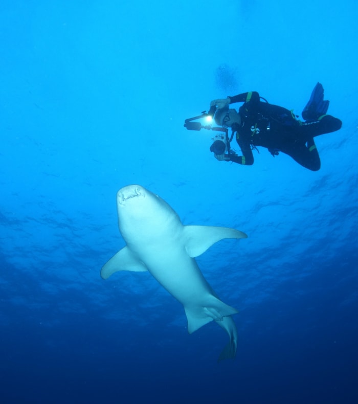 Opdag Sport & Kultur