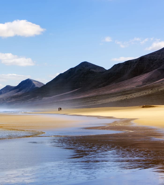 Sport & Kultur Opdagelse