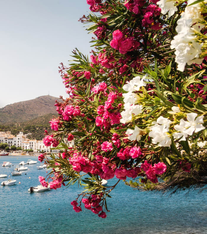 Opdag Sport & Kultur