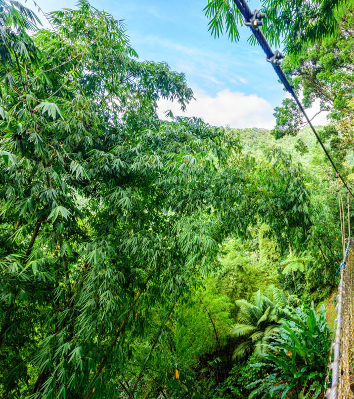 Découverte Sport & Culture Martinique 8 jours