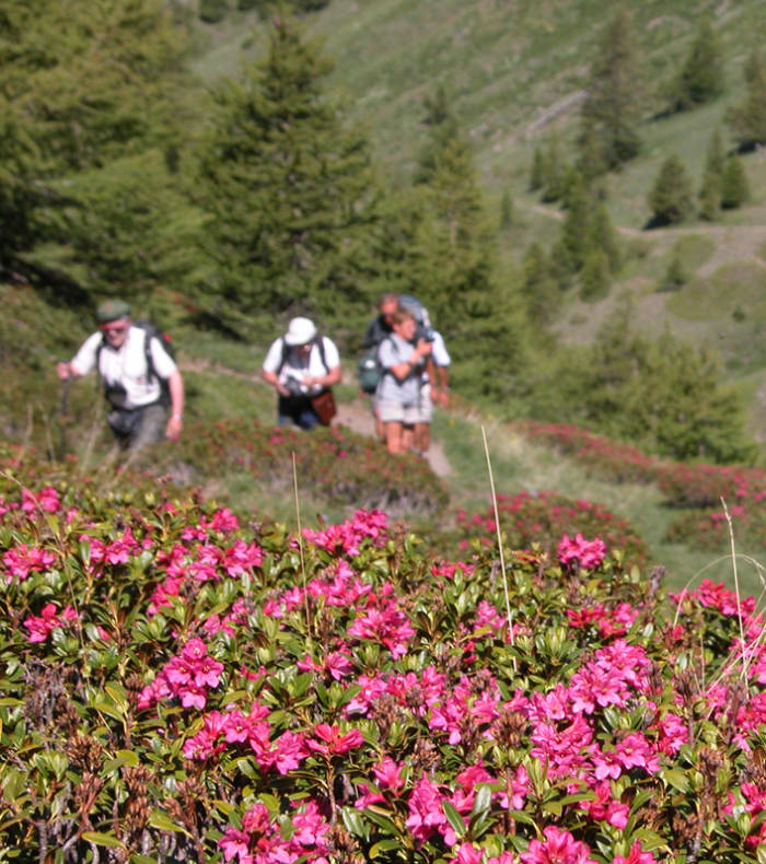 Opdagelsessports- og kulturoplevelser i Haute Maurienne