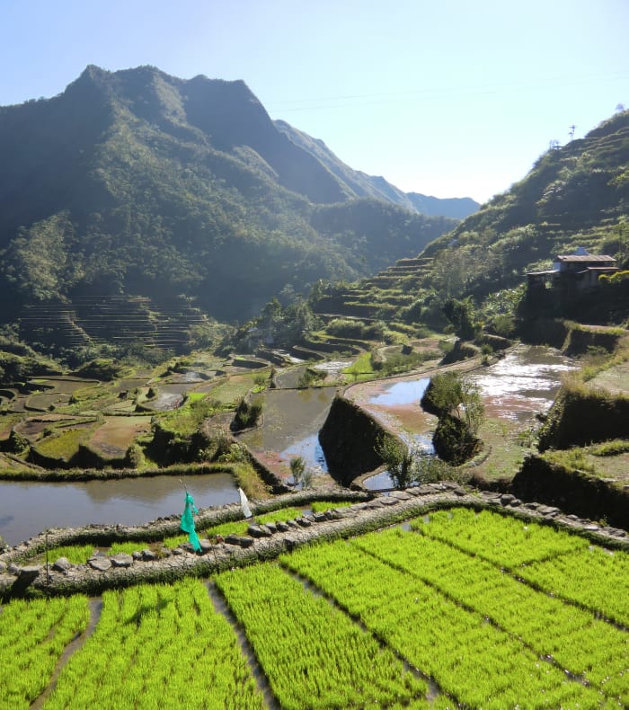 Fra Banaue til Puerto Galera