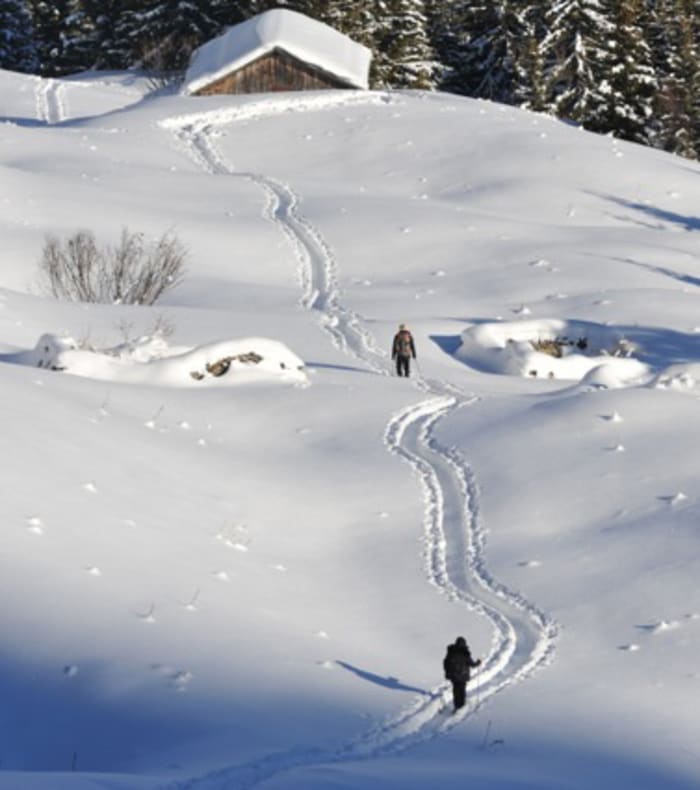 De la Grande Casse au Génépy