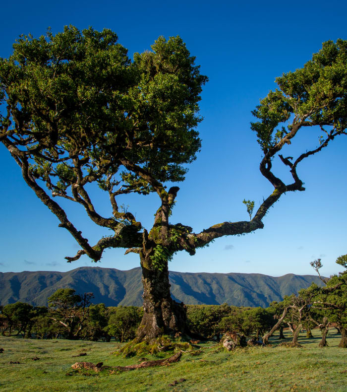De Madère à Porto Santo