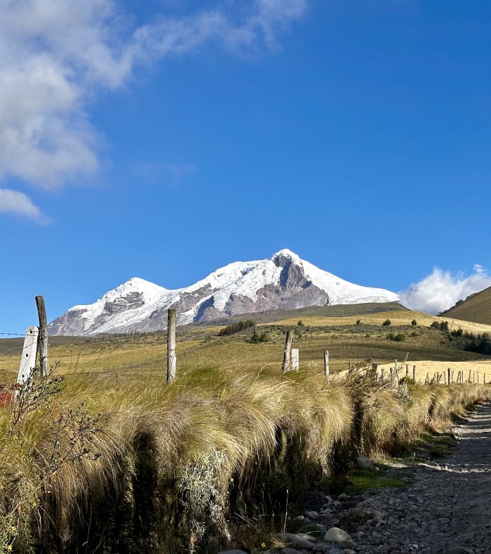 Des Andes à l'Amazonie