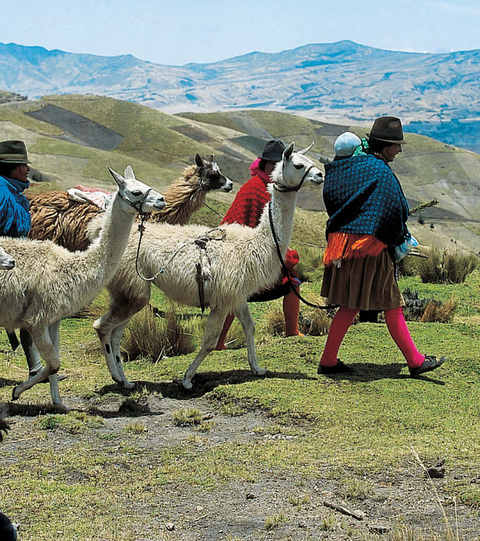 Des Andes à l'Amazonie