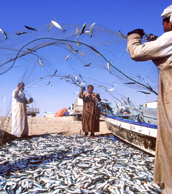 Djebel, désert et littoral du Sultanat