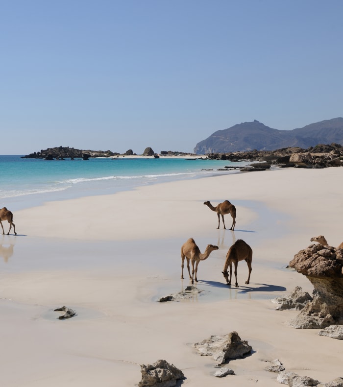 Djebel, ørken og kysten af Sultanatet