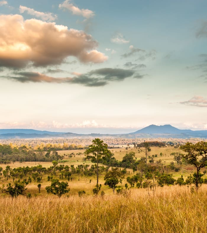 Fra Krugerparken til Det Indiske Oceans kyst
