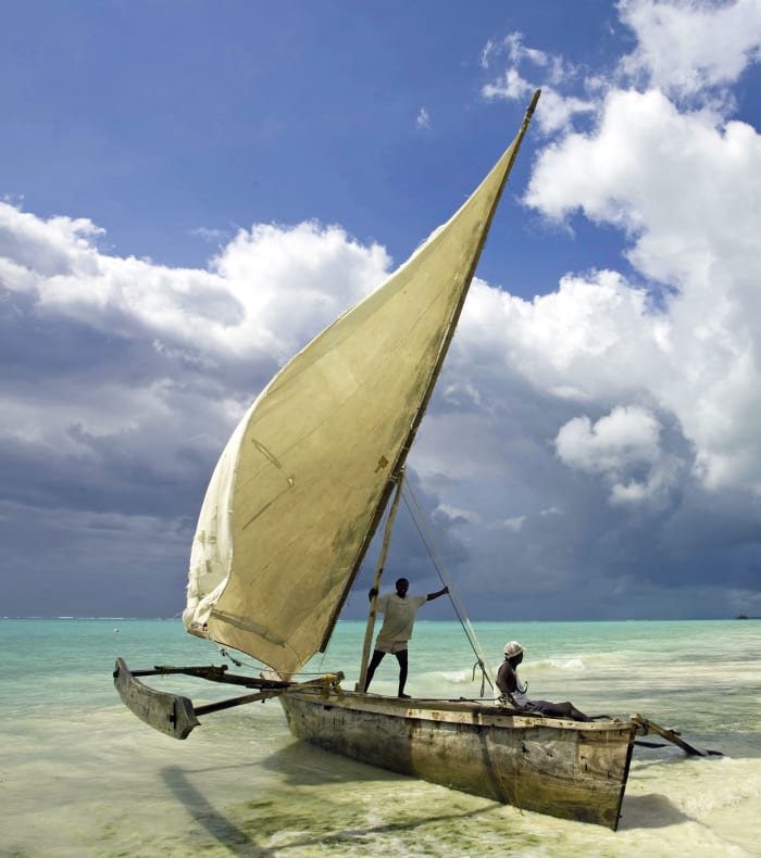 Du parc Nyerere à l'île de Zanzibar