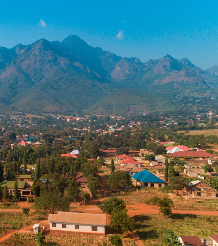 Du parc Nyerere à l'île de Zanzibar