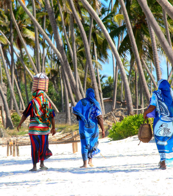 Du parc Nyerere à l'île de Zanzibar