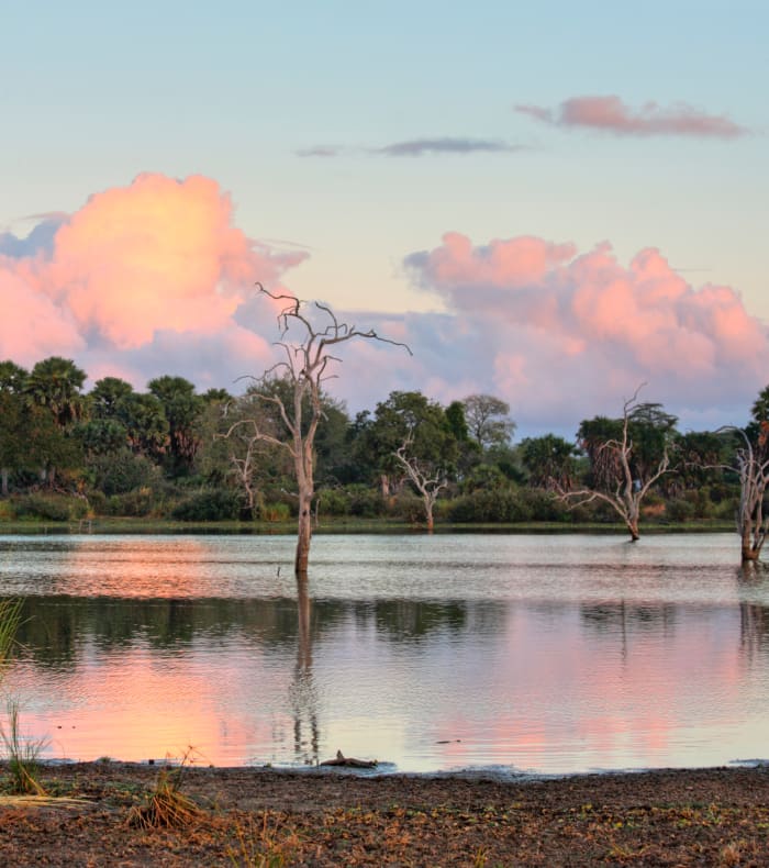 Fra Nyerere Park til Zanzibar