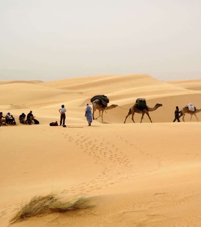 Dunes et palmeraies d'Amatlich 9 jours