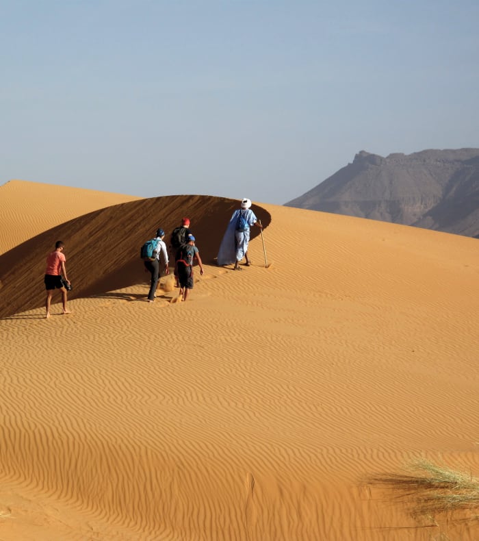 Dunes og palmelunde i Amatlich 9 dage