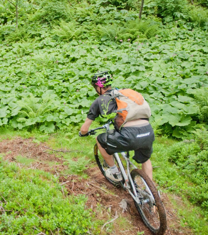 Enduro VTT Shuttle Expert