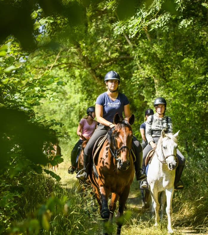 Equitation et Multisports Serre Che