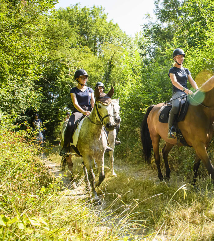 Equitation et Multisports Serre Che
