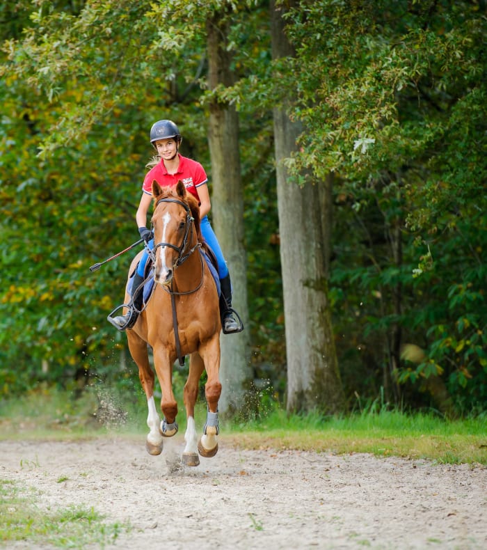 Ridning og Multisport Serre Che