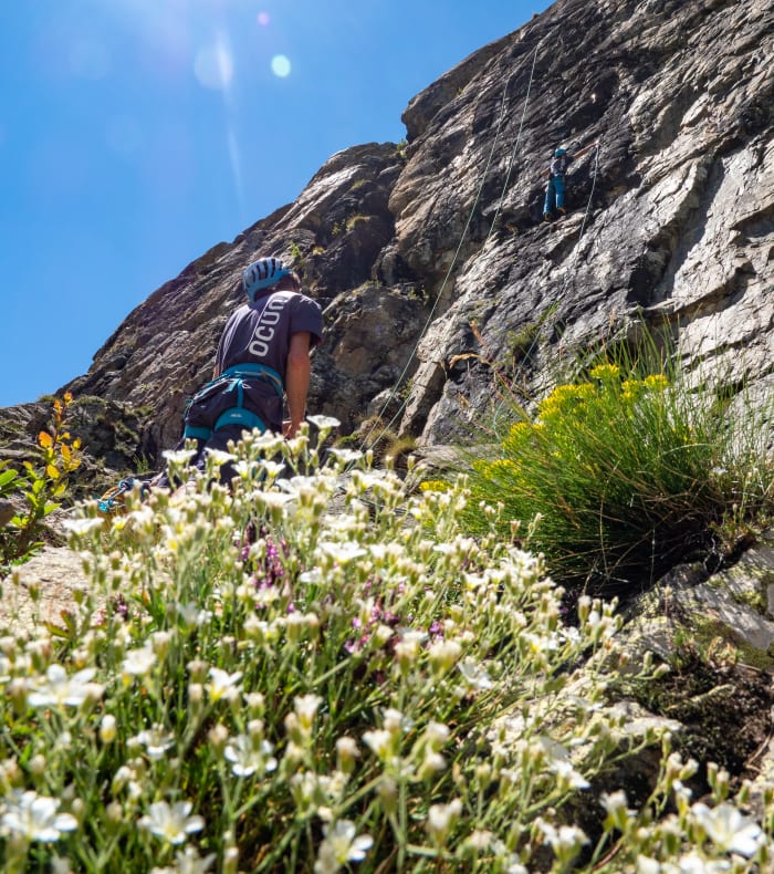 Escalade initiation grandes voies