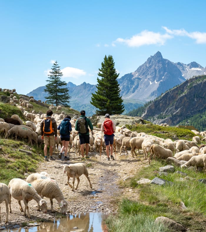 Five Summits : à l'assaut des 3000