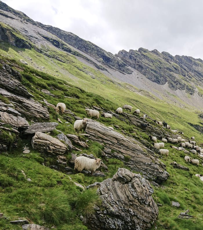 Five Summits Pyrénées