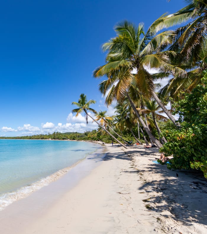 Full Wingfoil 15 jours