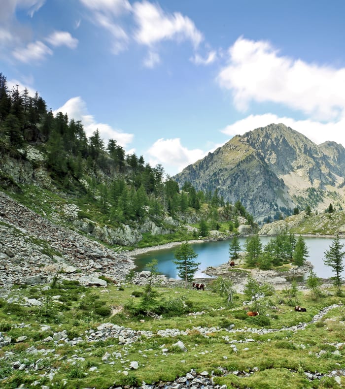 GR5 : des Hautes Alpes à la Méditerranée