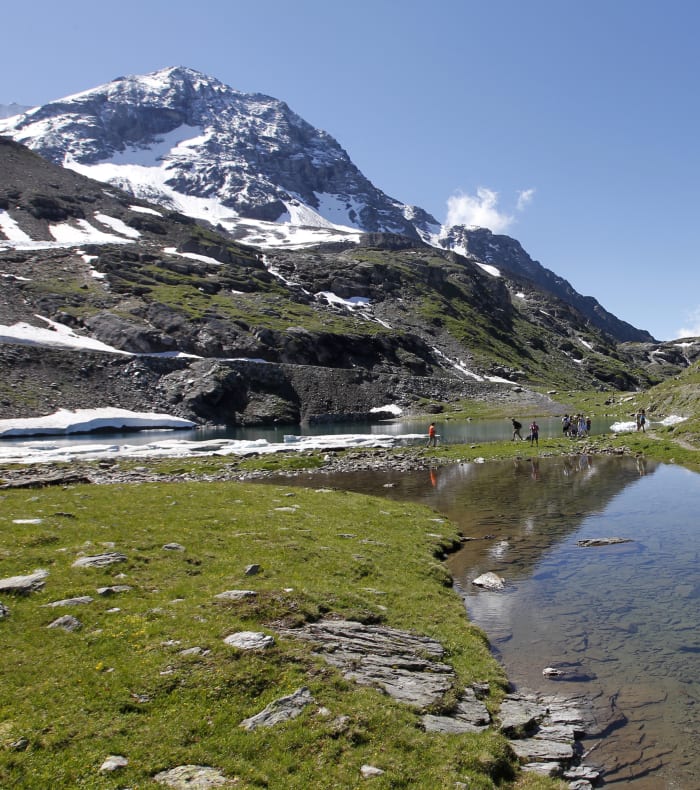 Grand Paradis sauvage