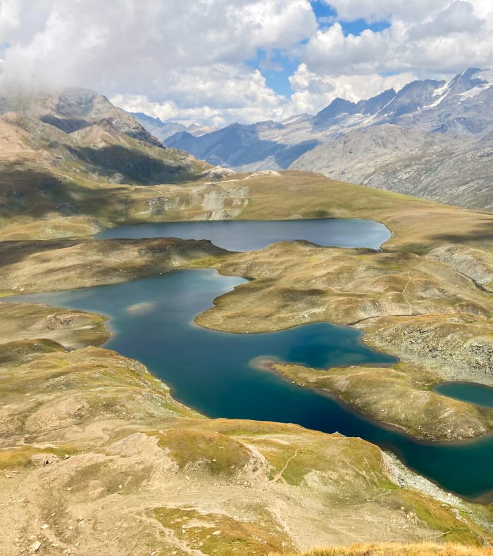 Grand Paradis sauvage