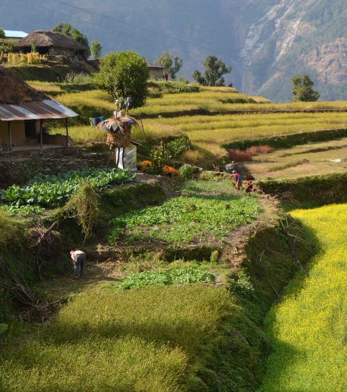 Grand tour du Manaslu - Eté 26