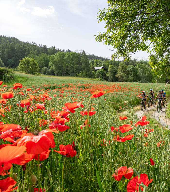 Grande Traversée des Alpes - Entre Maurienne et soleil de Serre-Ponçon
