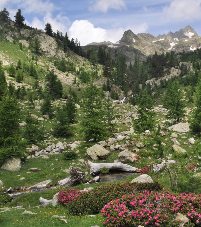 GTM Grande traversée du Mercantour - Partie Sud