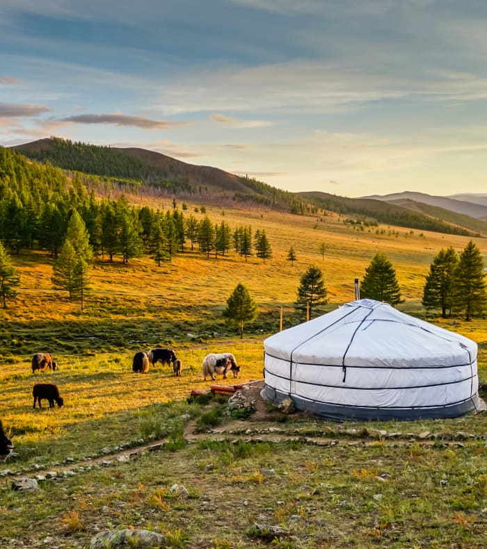 Immersion nomade en terre mongole