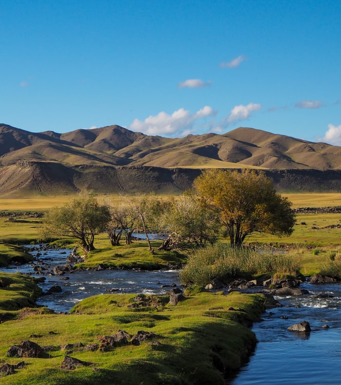 Nomadisk fordybelse i mongolsk land