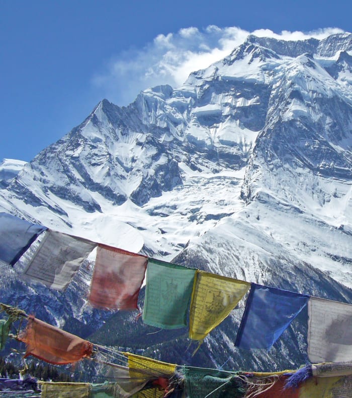 Jungle og Himalaya - Vinter 26