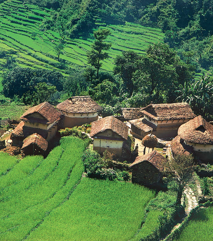 Jungle et Himalaya - Eté 26