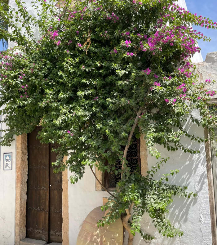 Kitesurf & Découverte