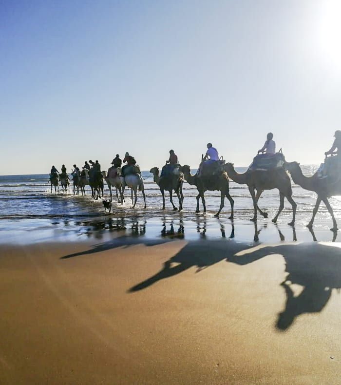 Kitesurf Spécial débutant