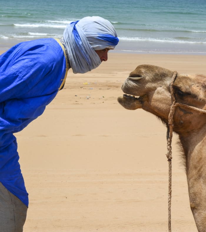 Kitesurf Spécial débutant