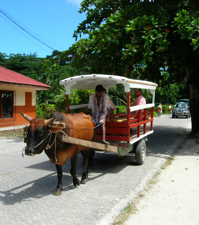 L'archipel d'île en île