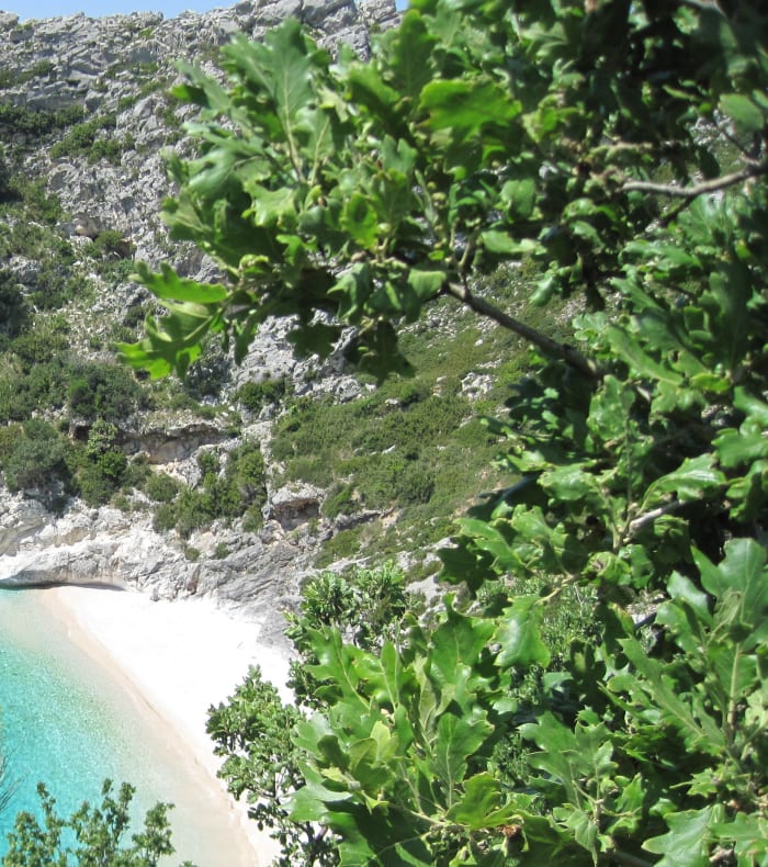 L'aventure albanaise