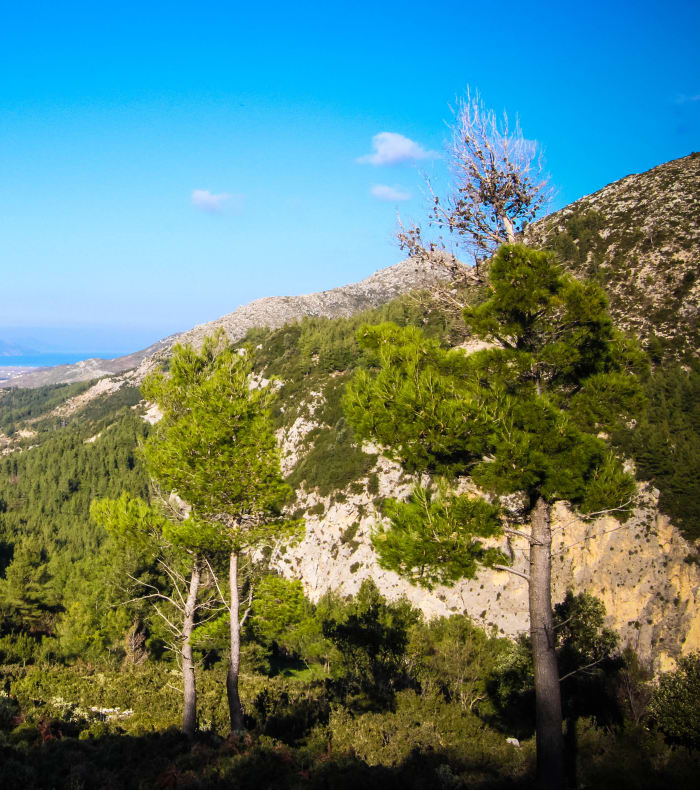 L'aventure albanaise