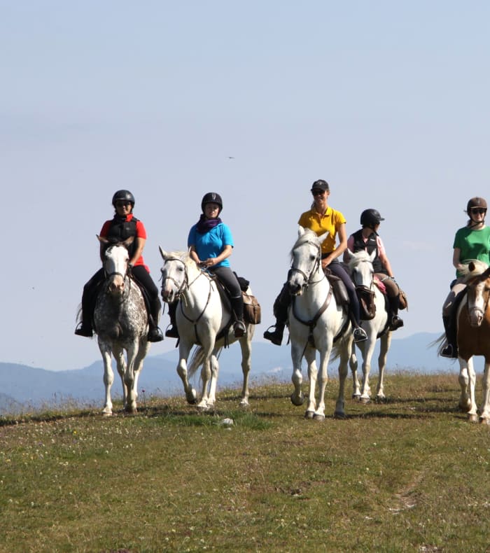 Le Vercors à cheval