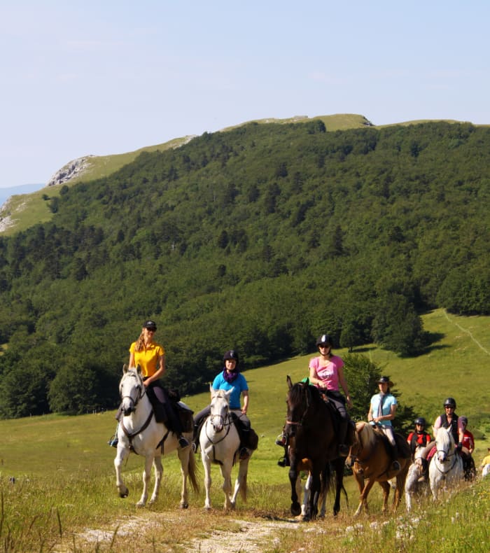 Le Vercors à cheval