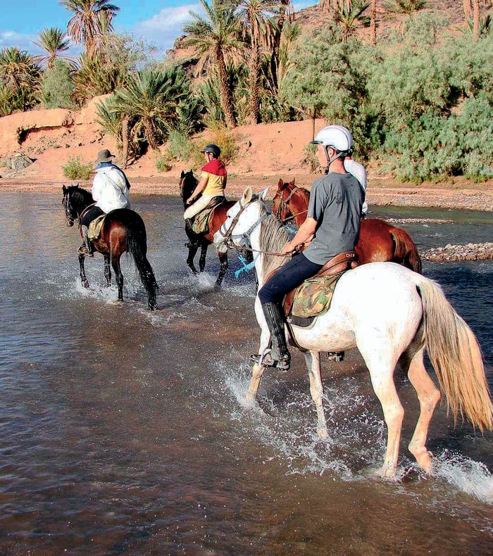 Les cavaliers des Kasbahs